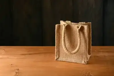 Eco Bag 1